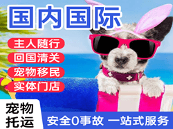 屯溪机场物流国际宠物托运 【国